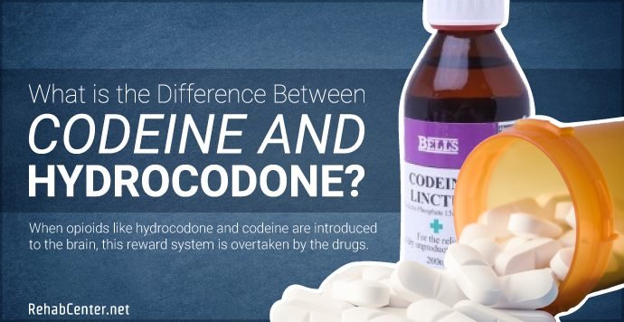 is hydrocodone codeine